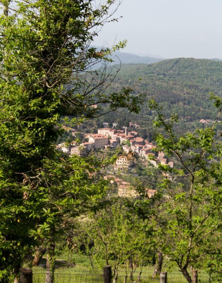 Le Dame Del Borgo Appartement Sassetta Buitenkant foto